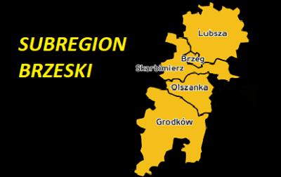 Subregion Brzeski